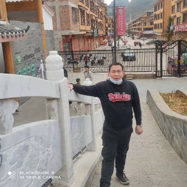 红玫瑰邂逅坚定的照片