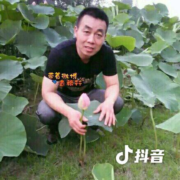 青衣請唯一的的照片