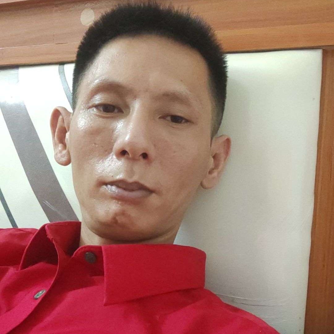 猪的照片