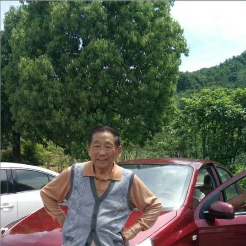 草丛的孤單的照片