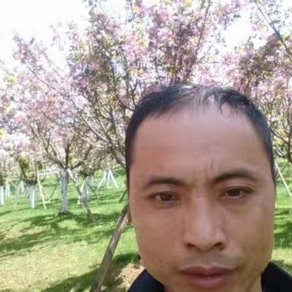 爱撒娇向小白菜的照片