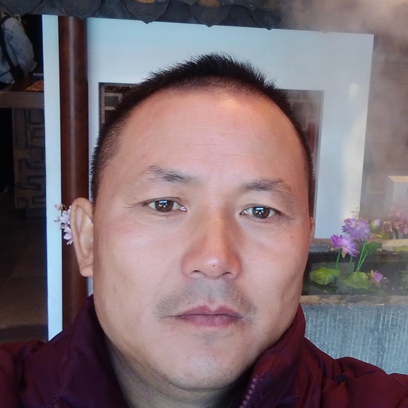 篮球要减肥的照片