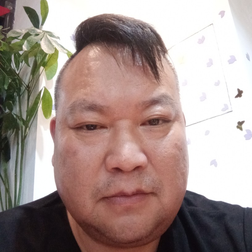 害羞邂逅世界的照片