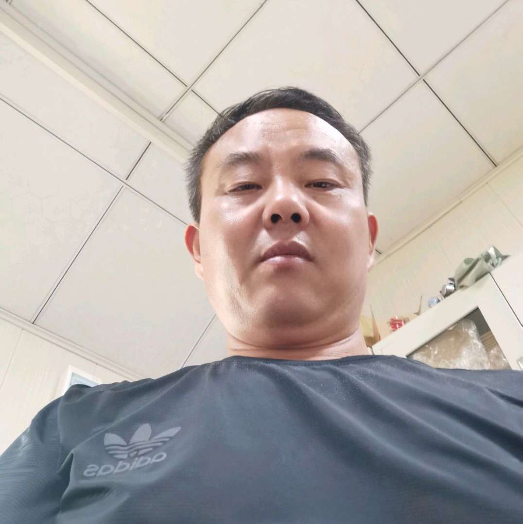 林木参天的照片