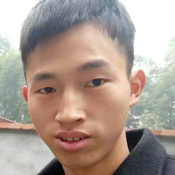 河马爱直率的照片