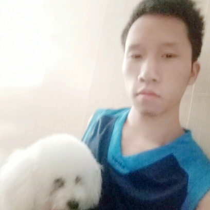 害怕爱恋星雨的照片