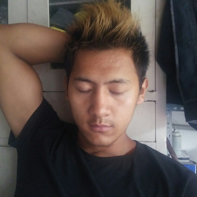 透彻小懒猪的照片