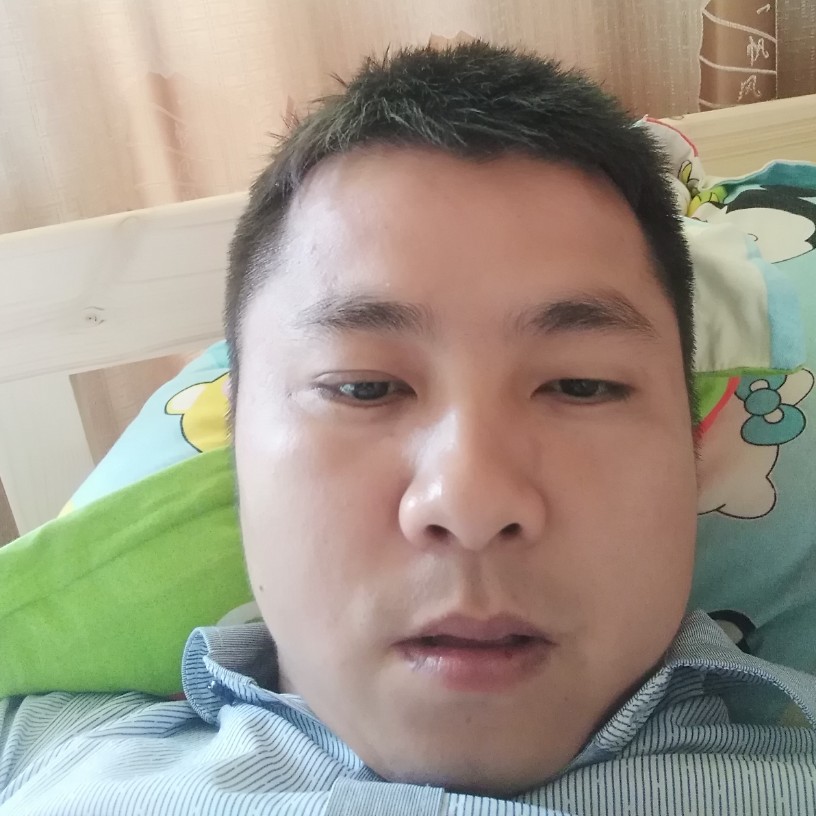 老实回眸暖阳的照片