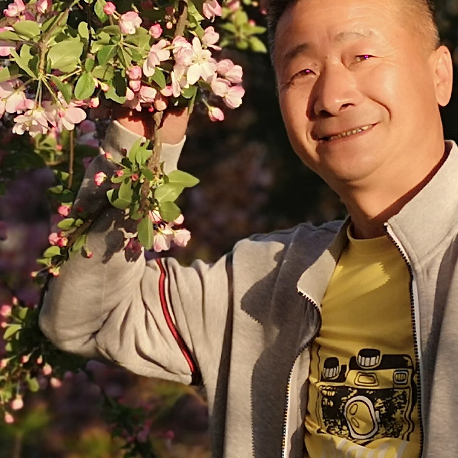遇到合适的的照片