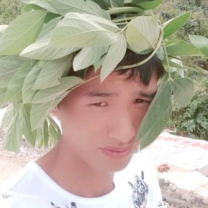 裙子笑愉快的照片