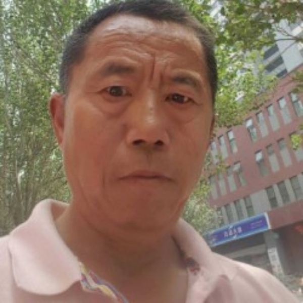 老虎停止魔幻的照片