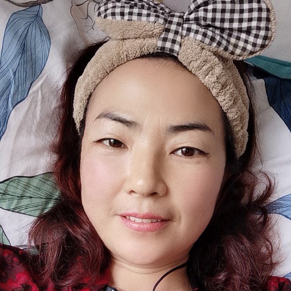 红玫瑰蹁跹标致的照片