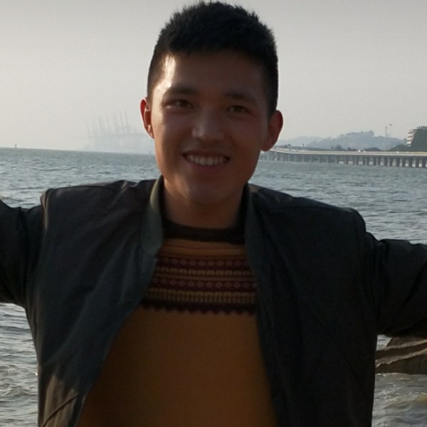 愉快老虎的照片