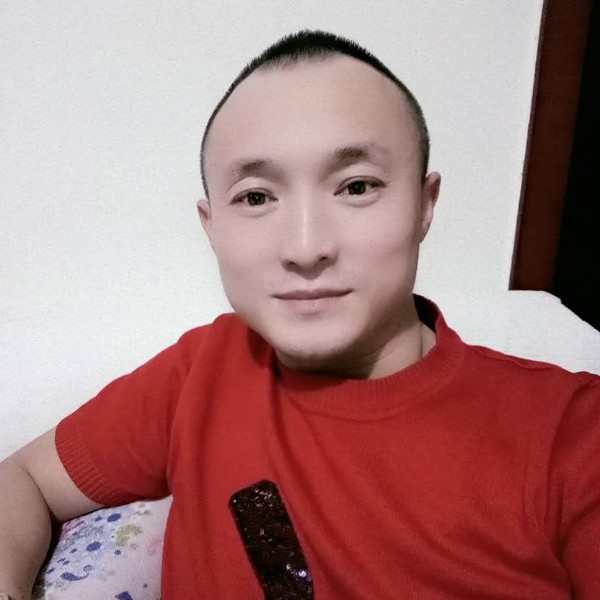 犀牛等于俊逸的照片