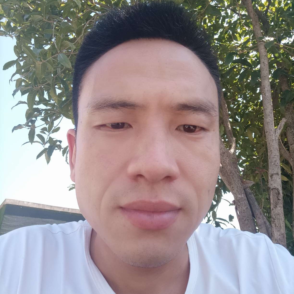 今夜来到你的窗外的照片