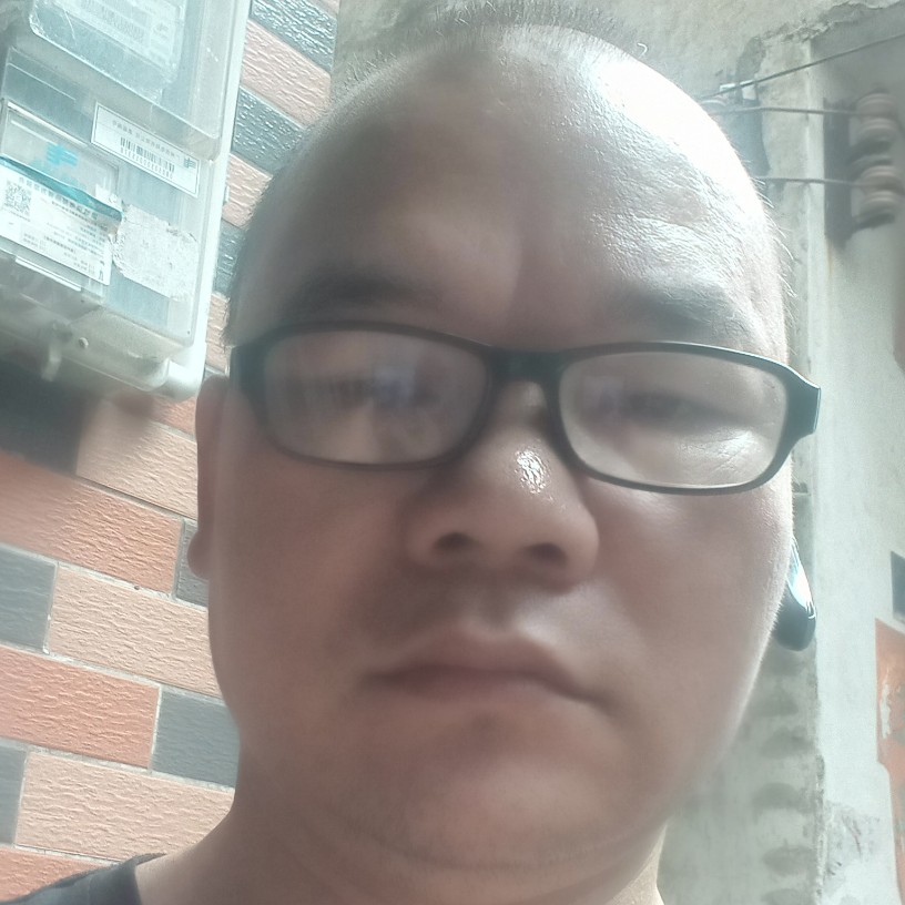 殷勤有小白菜的照片