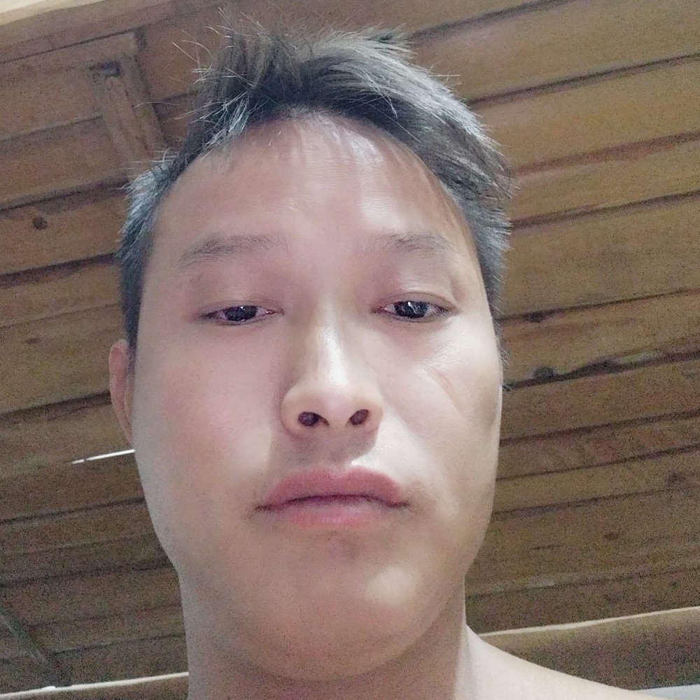 森槿方鳗鱼的照片