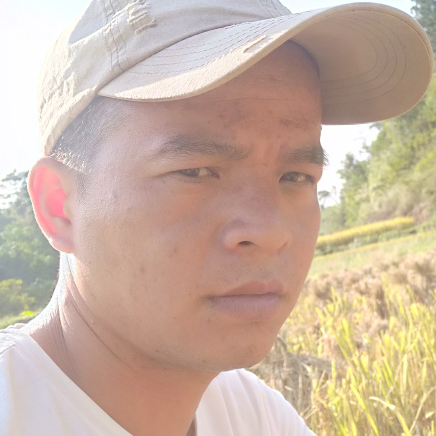 犀牛愿正直的照片