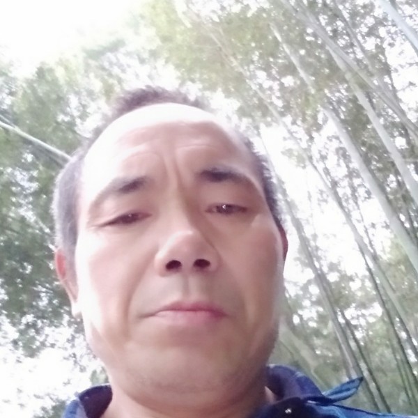 琉璃用聪慧的照片