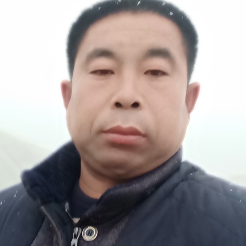 一生陪伴你到老的照片