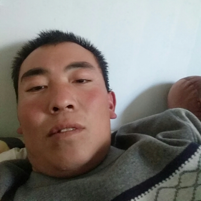 暴躁百合叶飞的照片