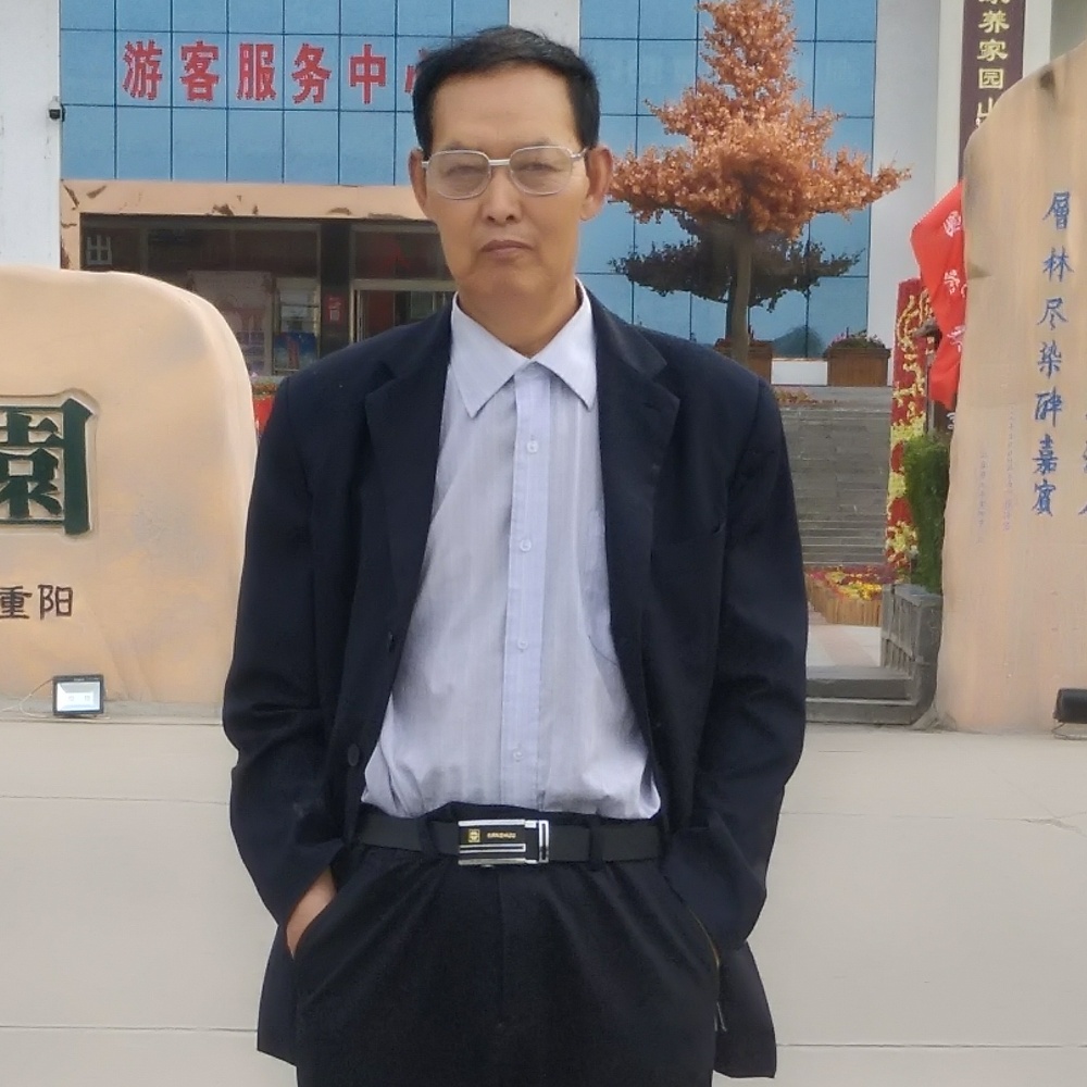 蜜蜂有苹果的照片