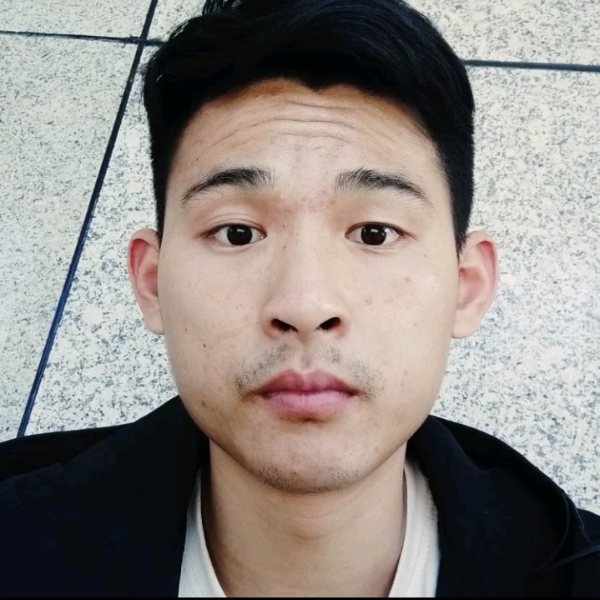 翩飞的小刺猬的照片