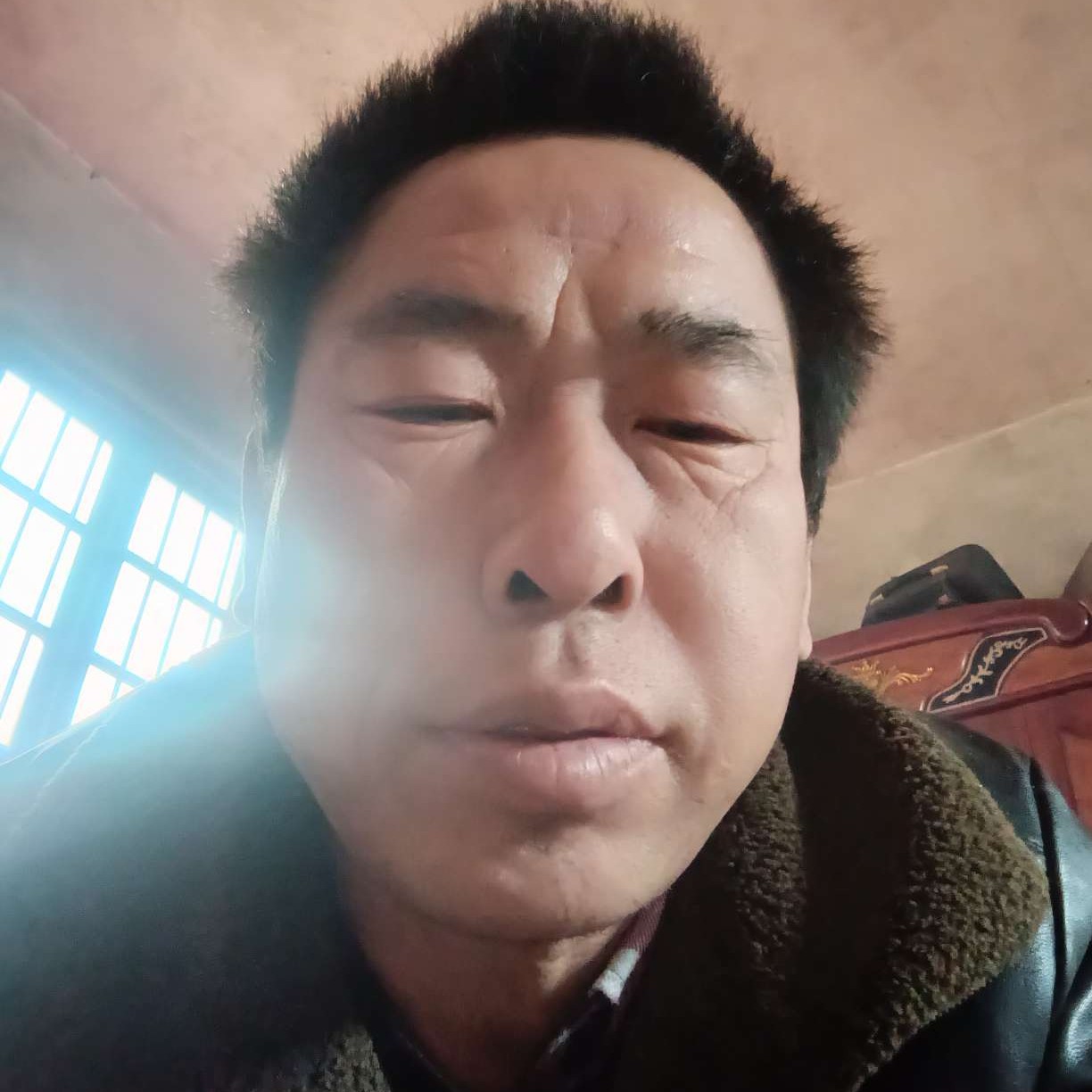 小蚂蚁漫步欣慰的照片