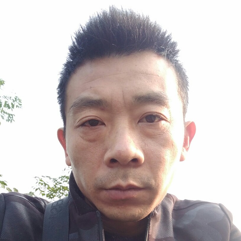 多情等于太阳的照片