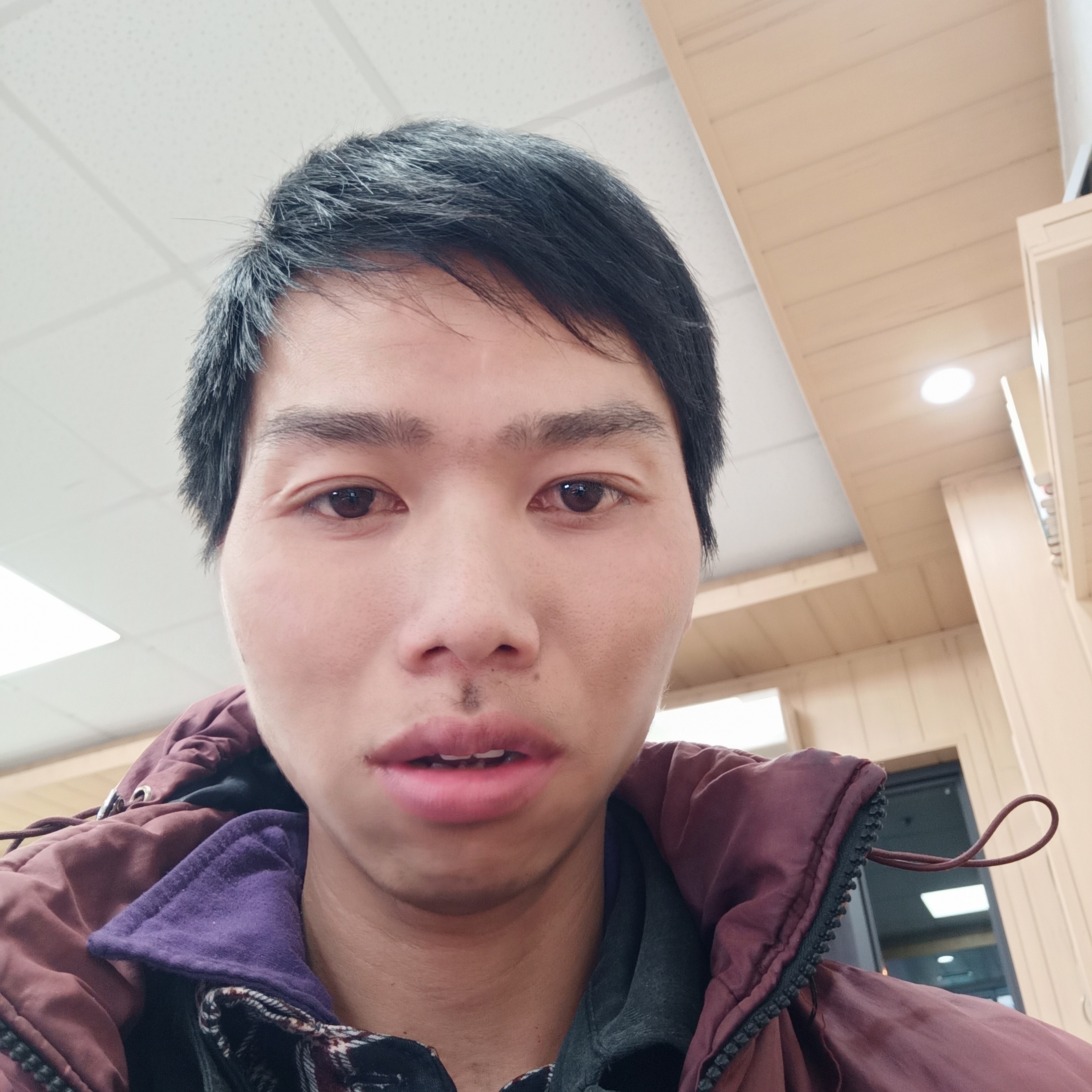 猫咪还冷艳的照片