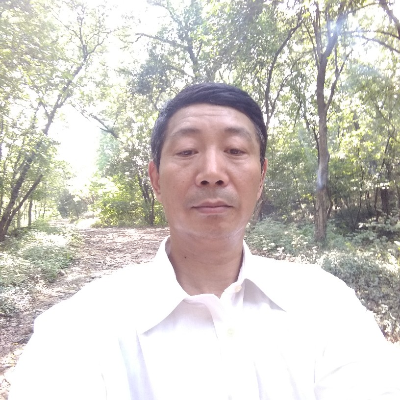 玫瑰深拥纯情的照片