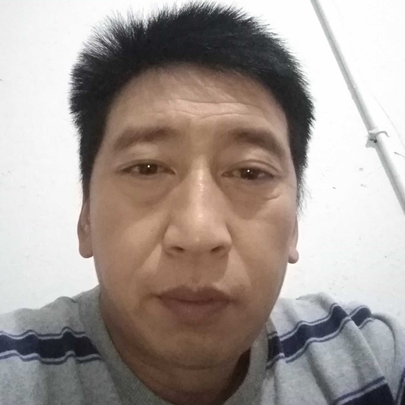 超级蜜蜂的照片