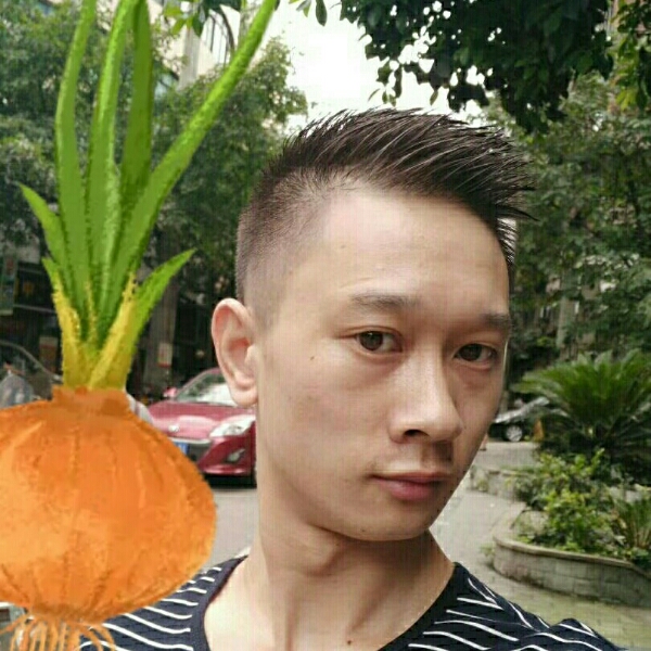 灼热漫步龙猫的照片