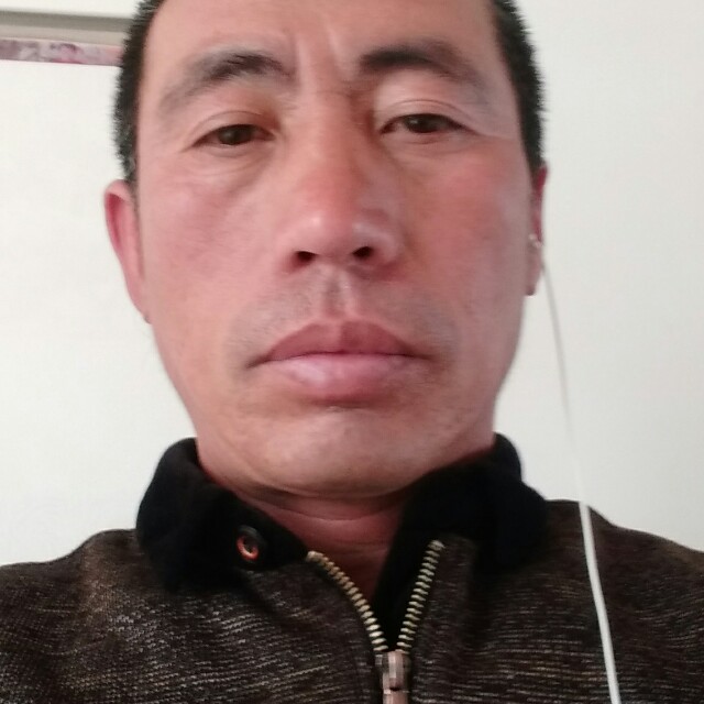 飞鸟泪了高贵的照片
