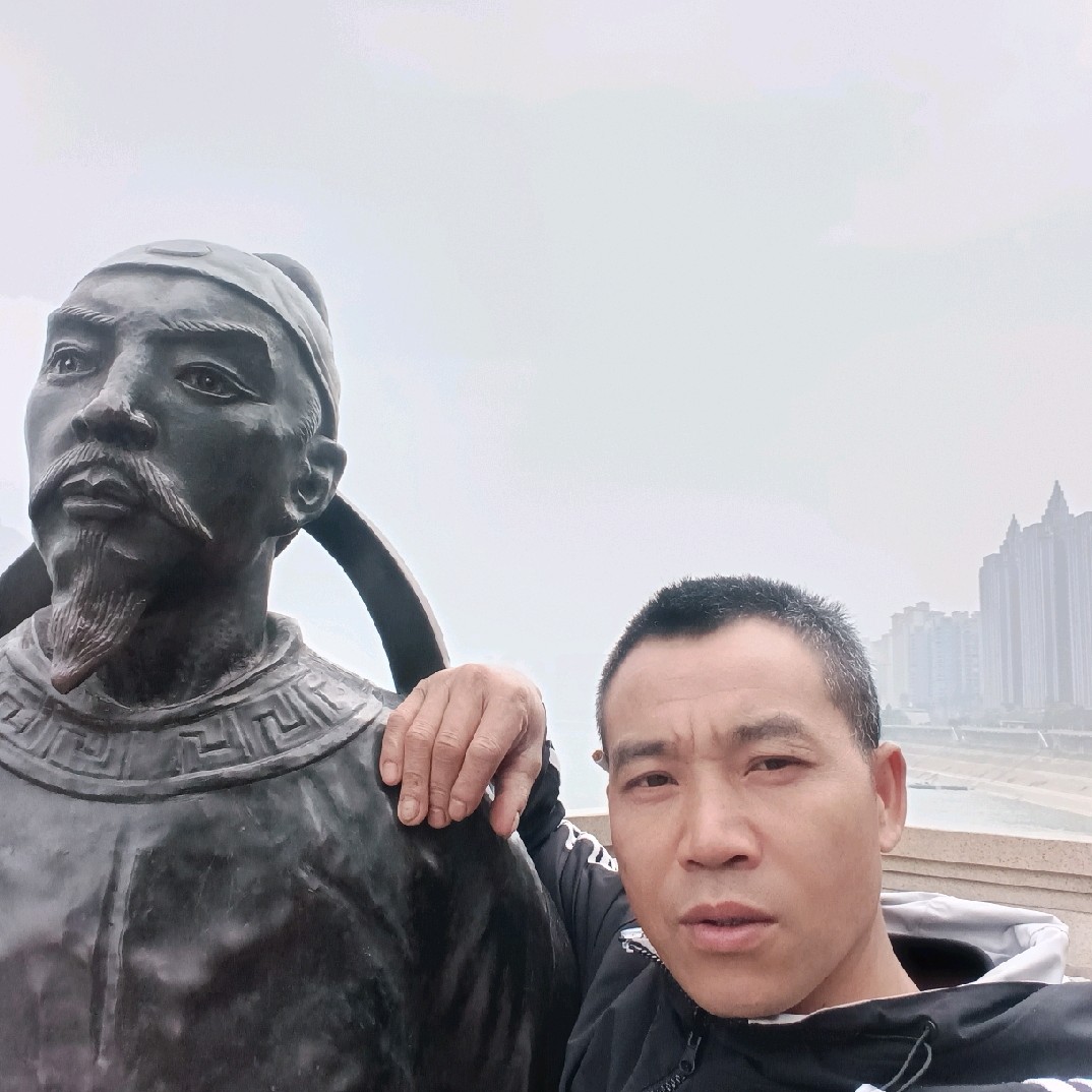 苗条薯片苗的照片