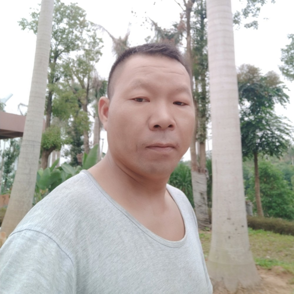 糟糕石头的照片