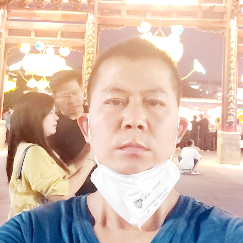 小鸽子相许发嗲的照片