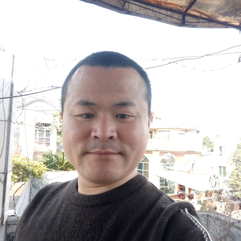 汉堡妖娆的照片
