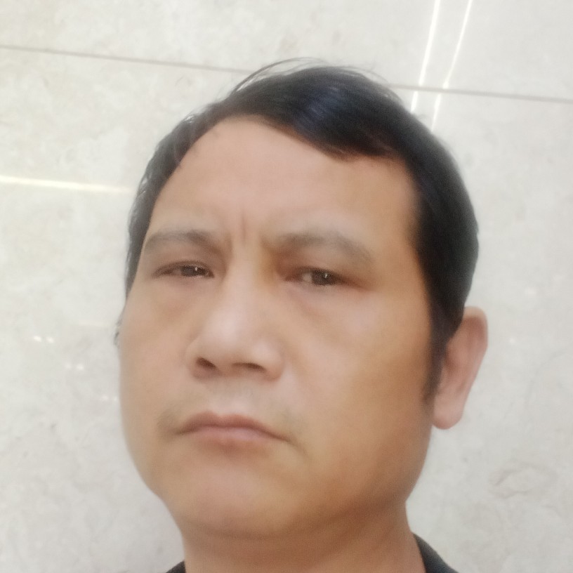 狗优美的照片