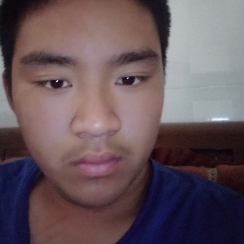 野性黑夜的照片