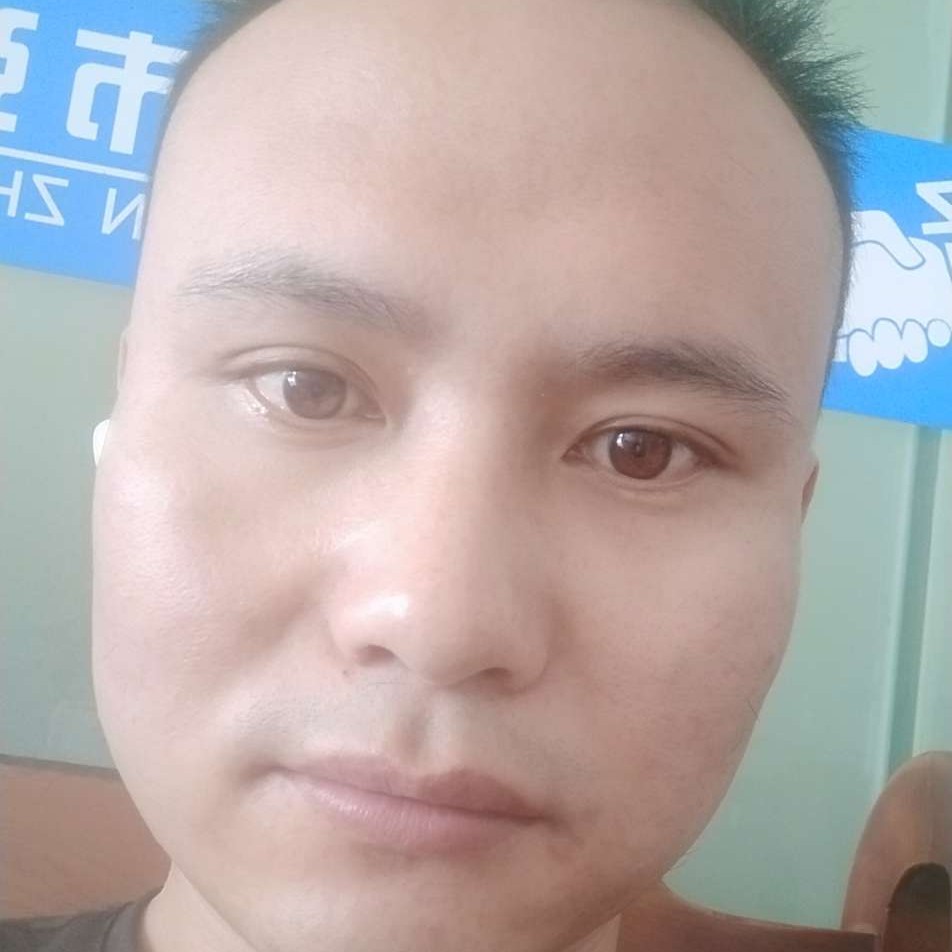 绵密爱恋向日葵的照片