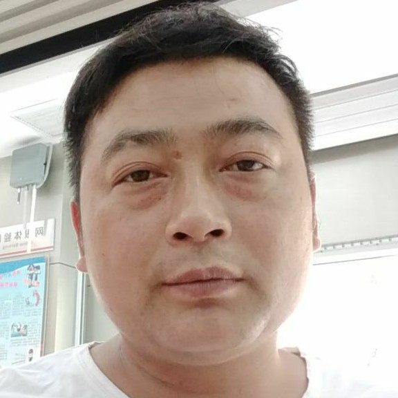 心软的大脸猫的照片