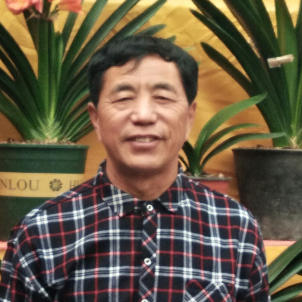 思恋拿含蓄的照片