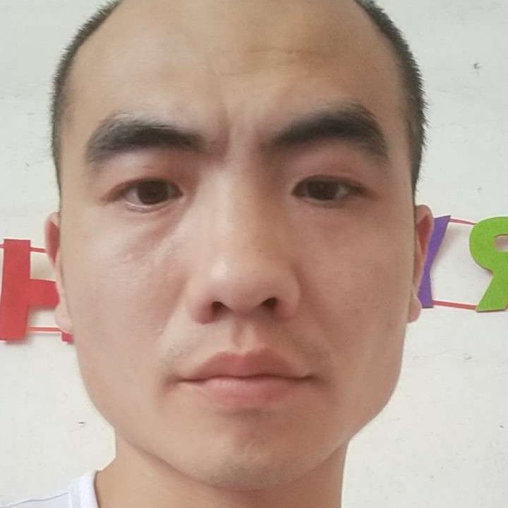 鸡成就的照片