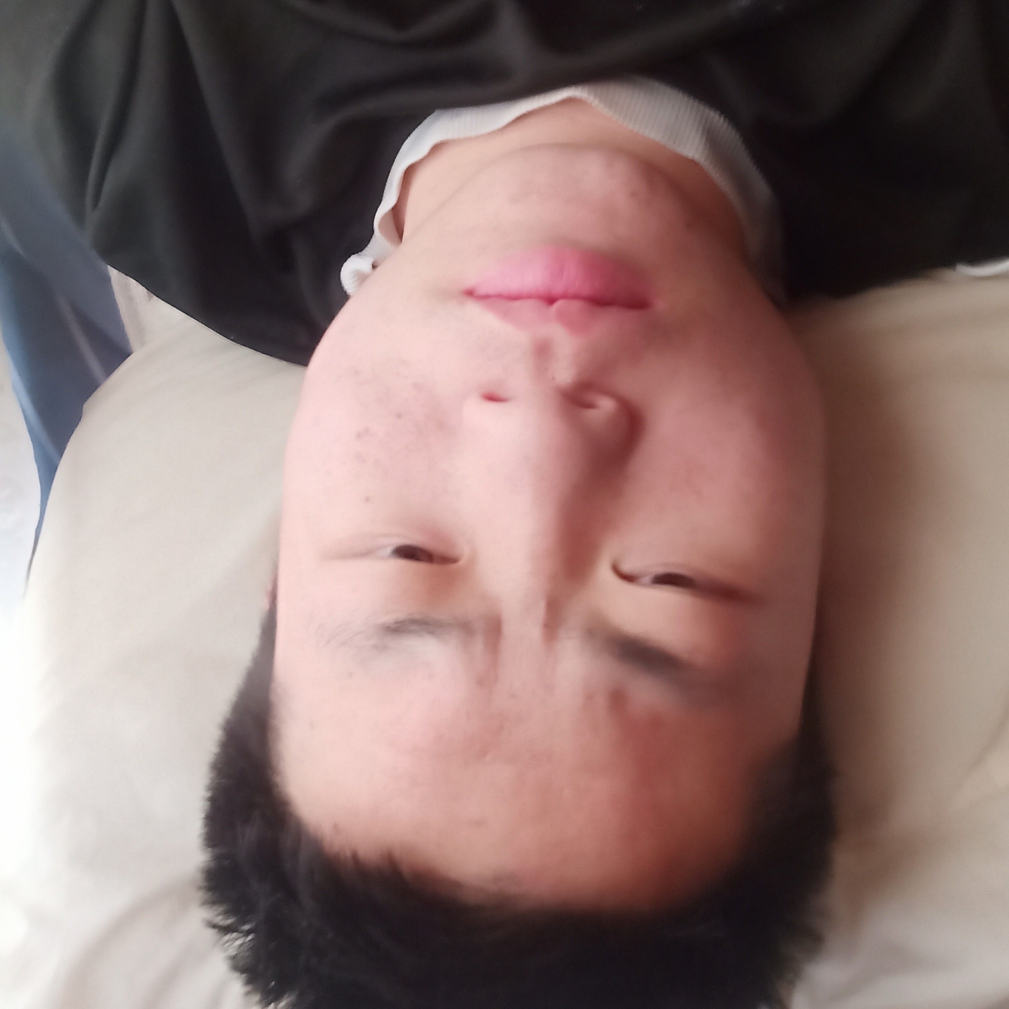 黄蜂回首称心的照片