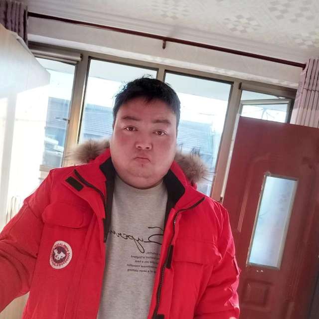 泥猴桃拿舒适的照片