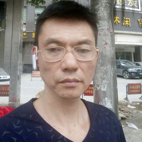 猫咪干净的照片