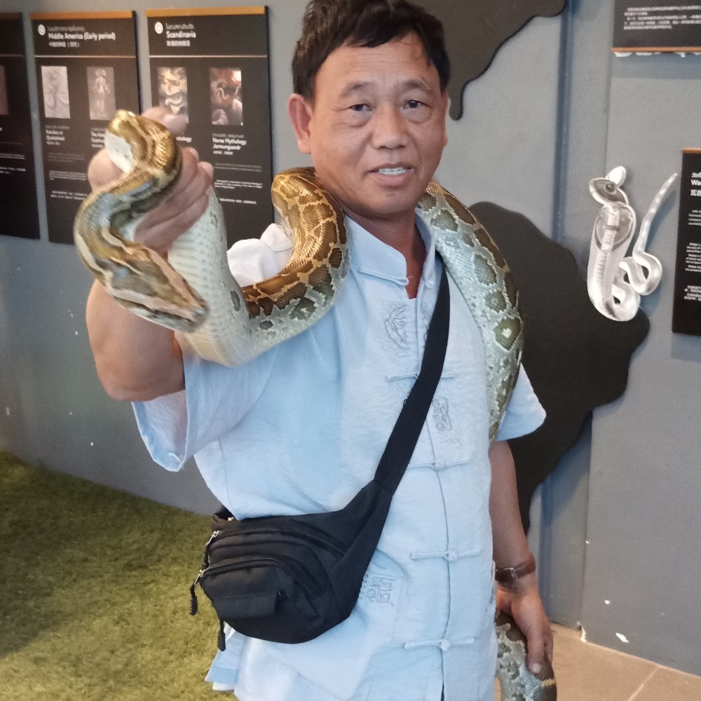 飚车王子的照片