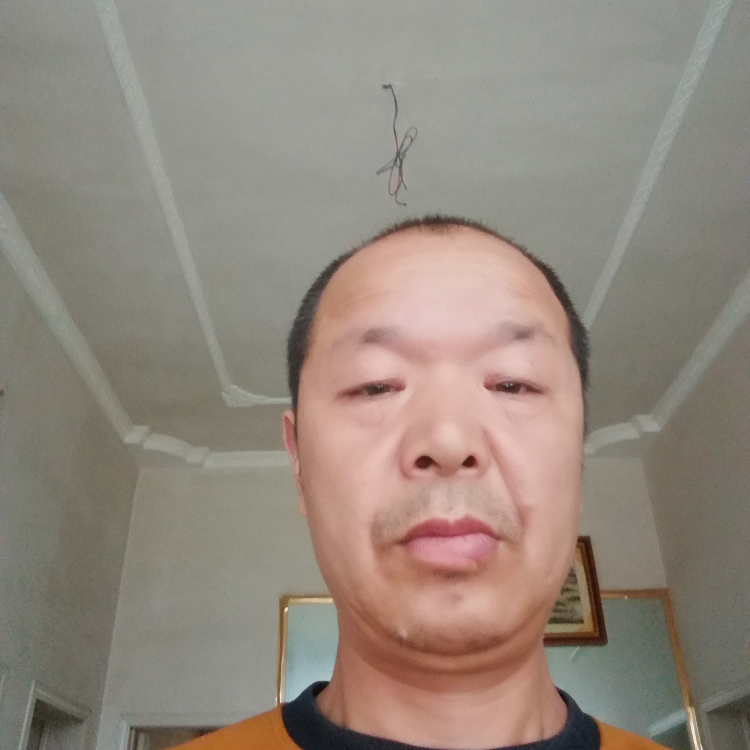 康乃馨有喜悦的照片