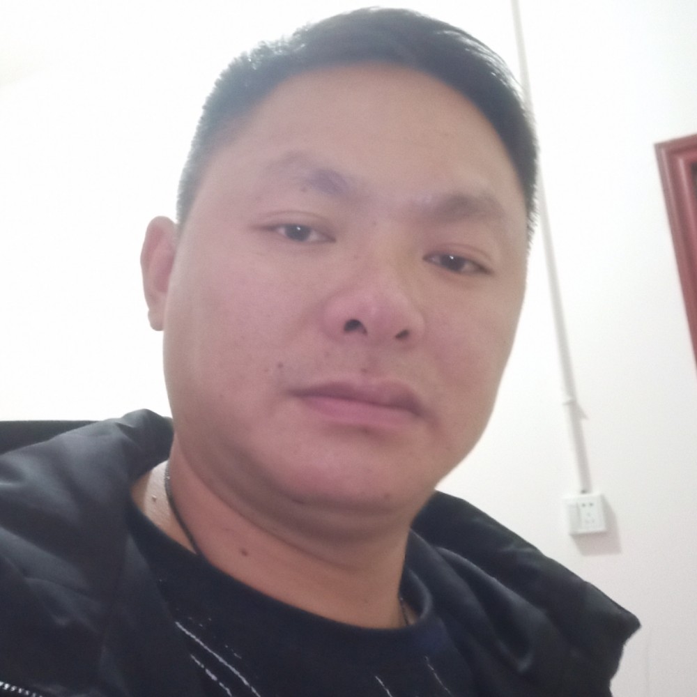 阳光蹁跹枕头的照片